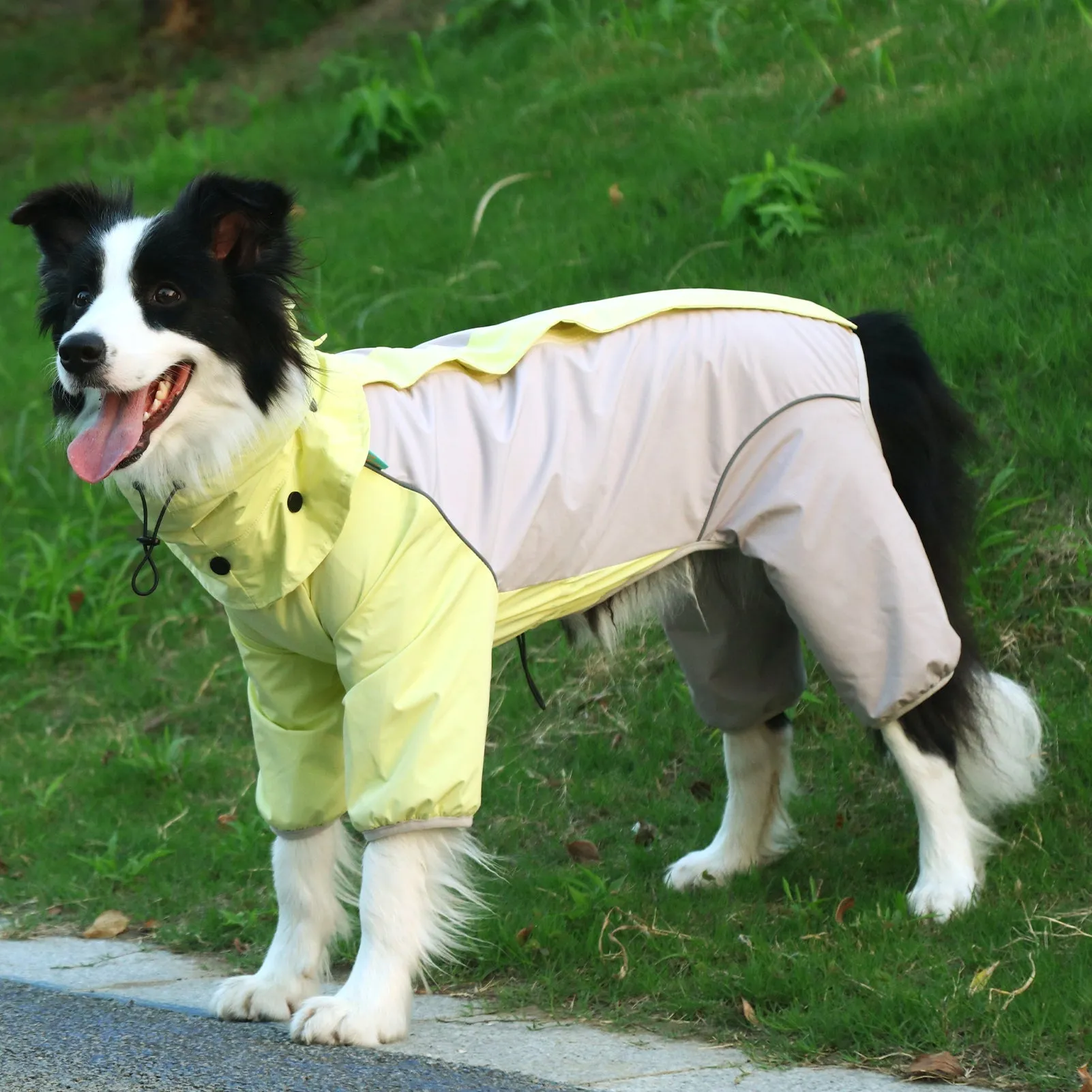 Laifug Dog Raincoat, Four-legged Dog Rain Jacket